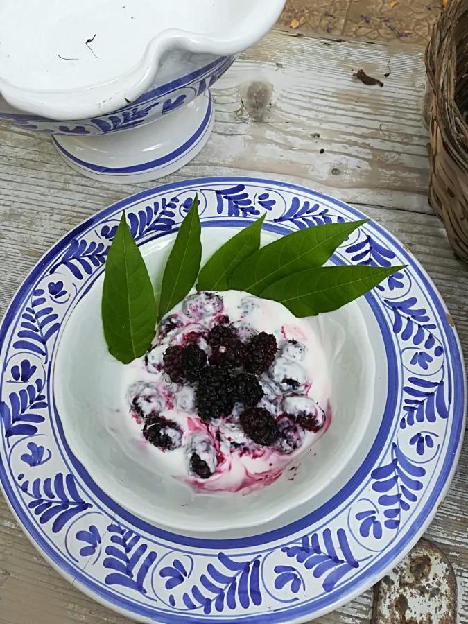 B&B Nonna Laura Trani Eksteriør bilde